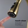 Stainless steel kitchen faucet